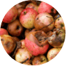 Expired Foods